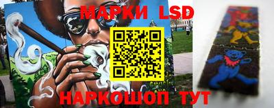 гидропоника Беслан