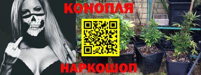 МДПВ Бийск