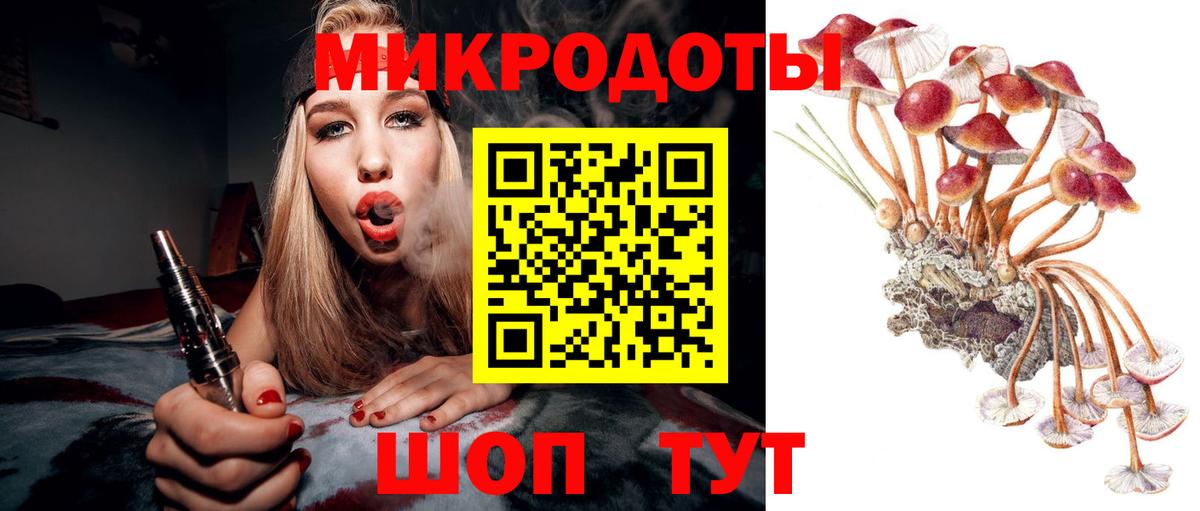 Галлюциногенные грибы MAGIC MUSHROOMS Казань