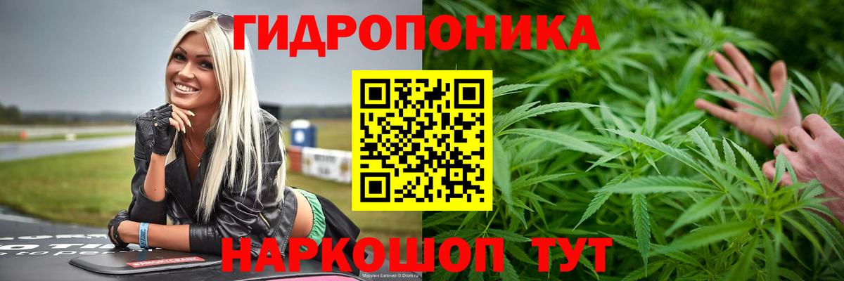 Конопля тримм  МАРИХУАНА White Widow  Вход с VPN  Бошки Шишки ГИДРОПОН  Казань 